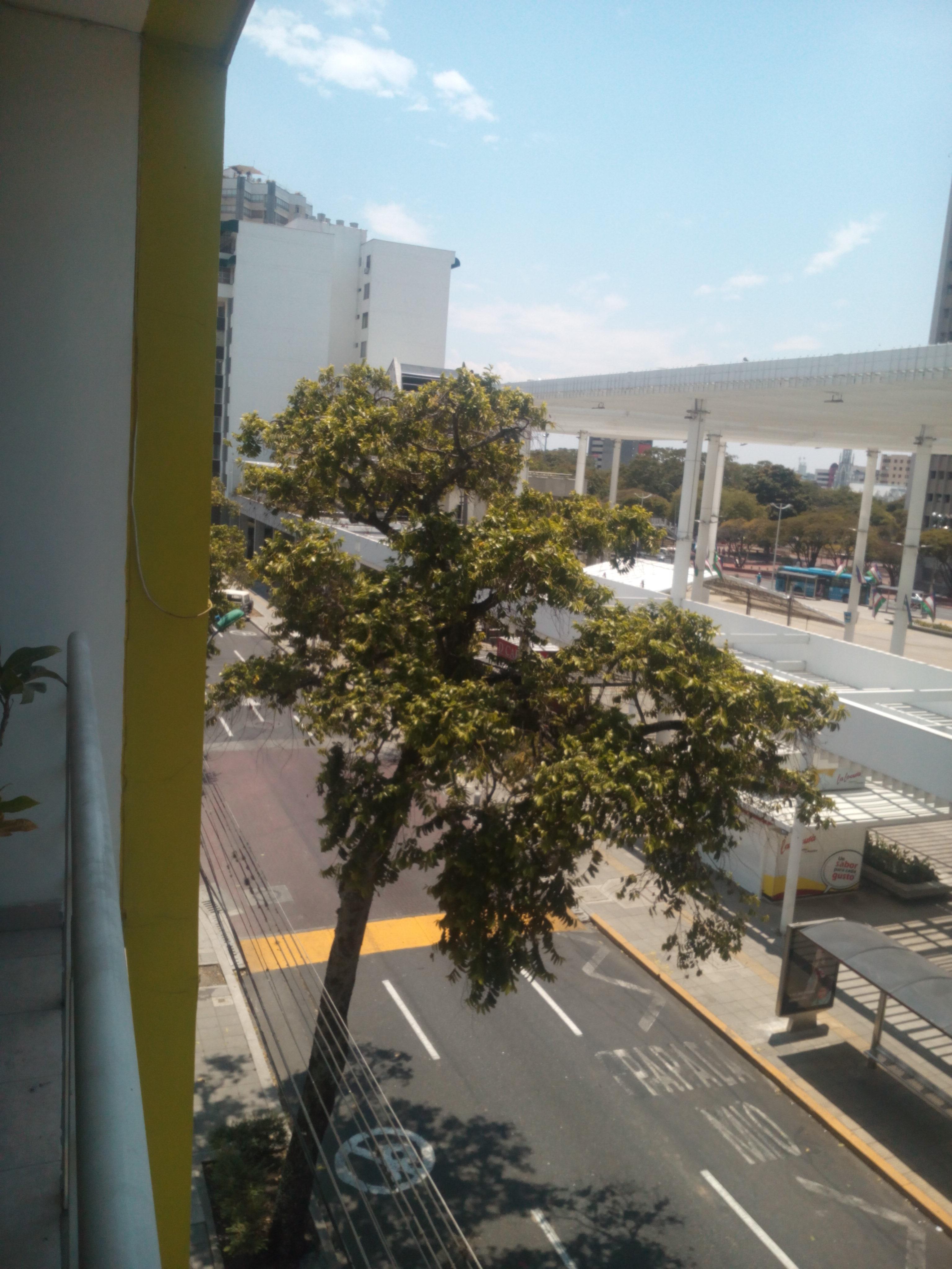 Hotel Cuarta Avenida Cali Buitenkant foto